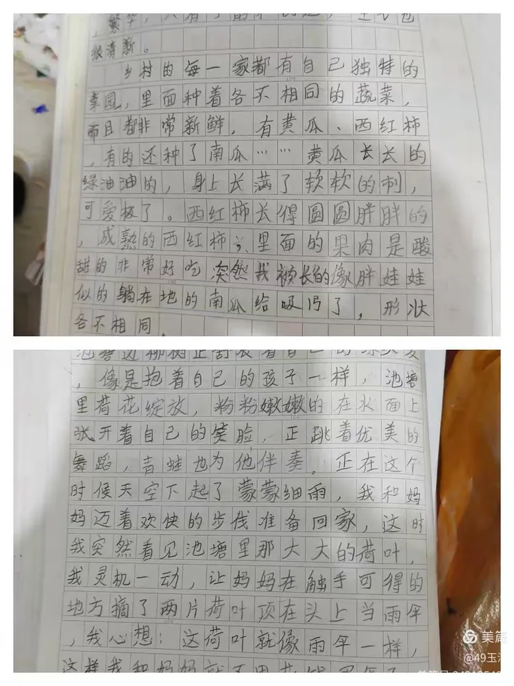 49玉淩的美篇